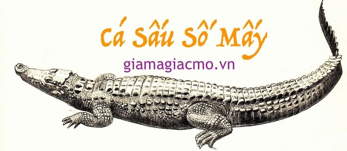 Cá Sấu Số Mấy là một món ăn nổi tiếng của miền Tây Nam Bộ Việt Nam, được chế biến từ thịt cá sấu có hương vị độc đáo và hấp dẫn.