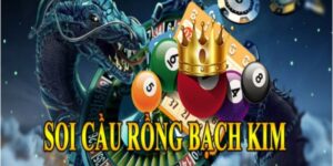 soi cau rong bach kim